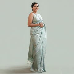 Organza Sarees