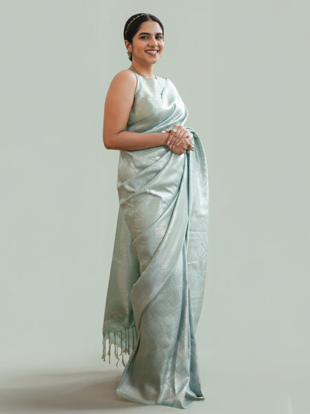 Organza Sarees