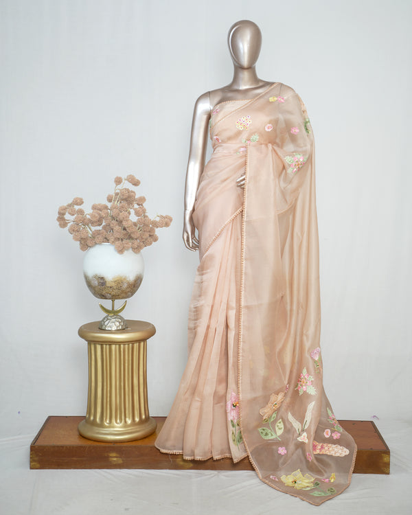 Nude Shade Organza Saree with 3D Appliqué Embroidery SAN4862