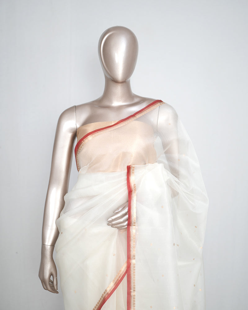 Pure Kora Organza Saree – Ivory Gold Elegance  SAN4729