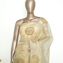 Ivory Organza Saree with Appliqué Embroidery SAN4949