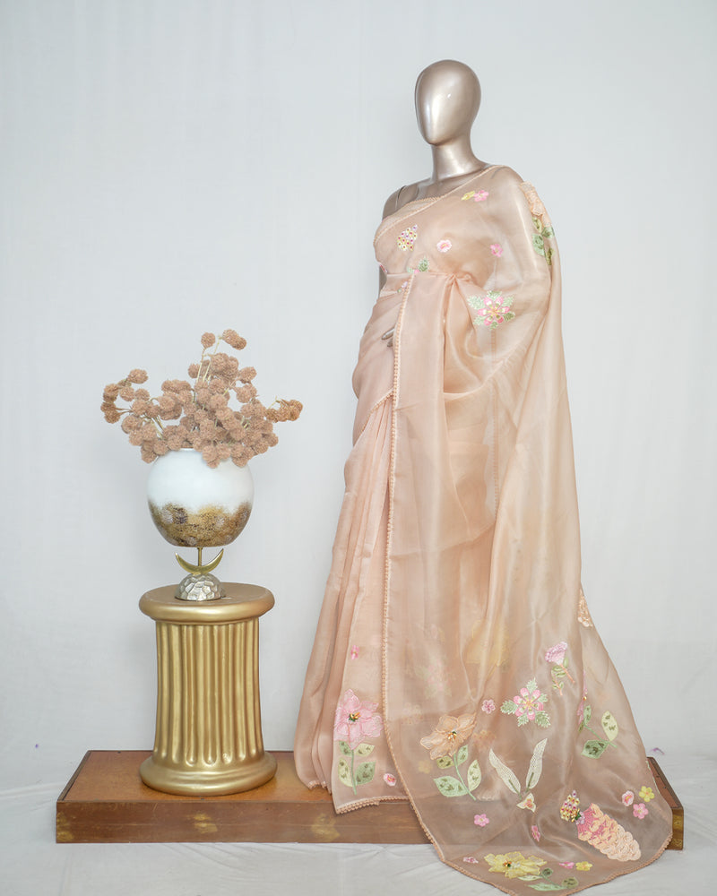 Nude Shade Organza Saree with 3D Appliqué Embroidery SAN4862