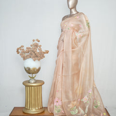 Nude Shade Organza Saree with 3D Appliqué Embroidery SAN4862