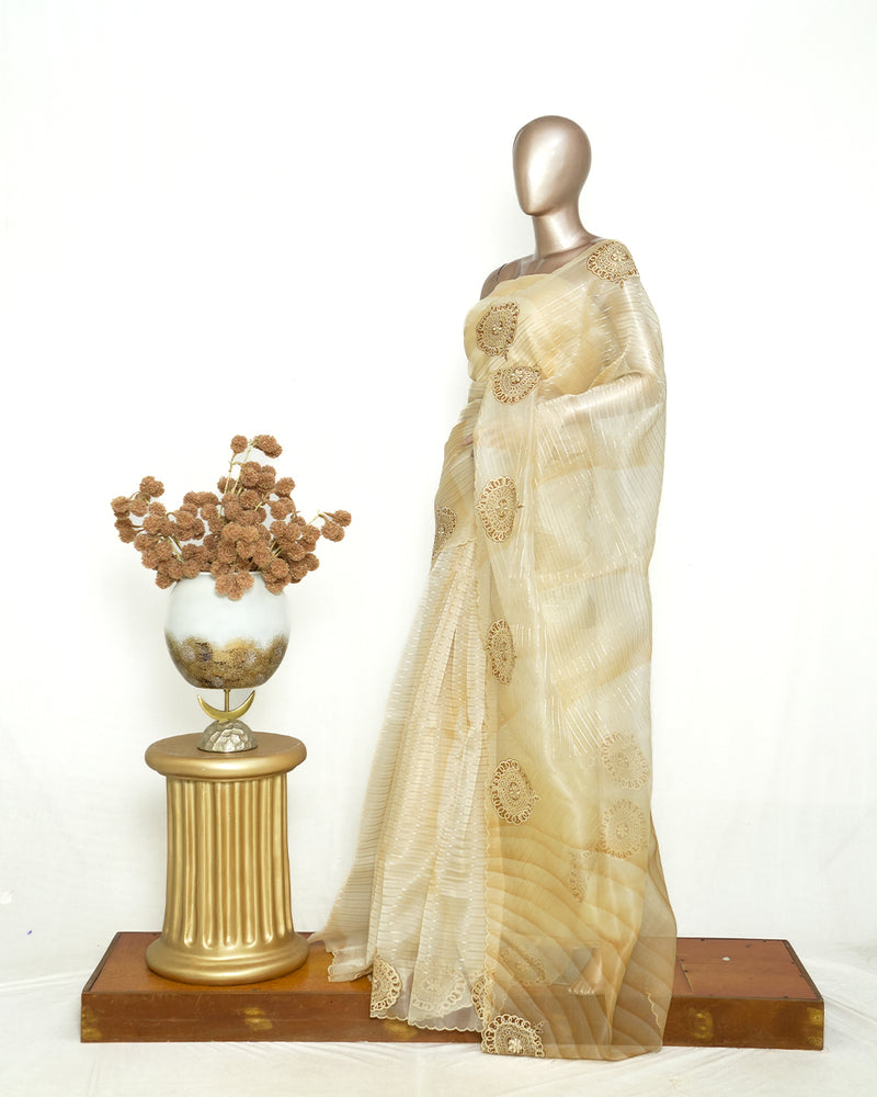 Ivory Organza Saree with Appliqué Embroidery SAN4949