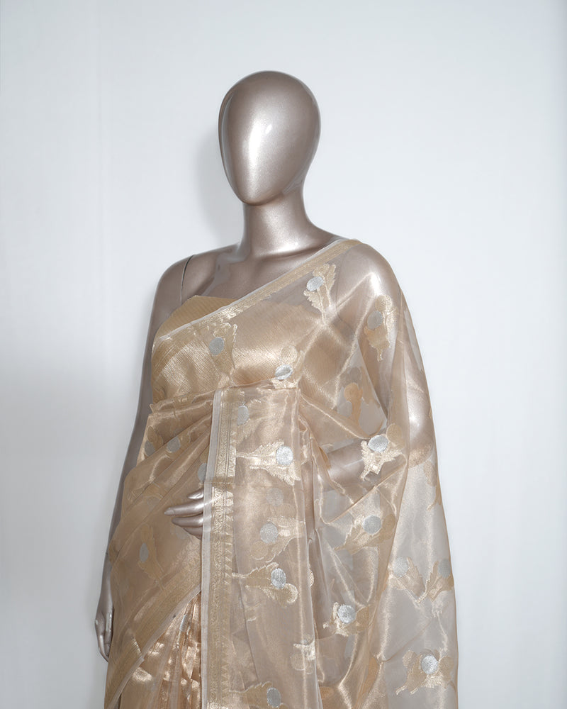 Champagne Gold Pure Tissue Silk Saree – Radiant Elegance in Every Drape  SAN4375