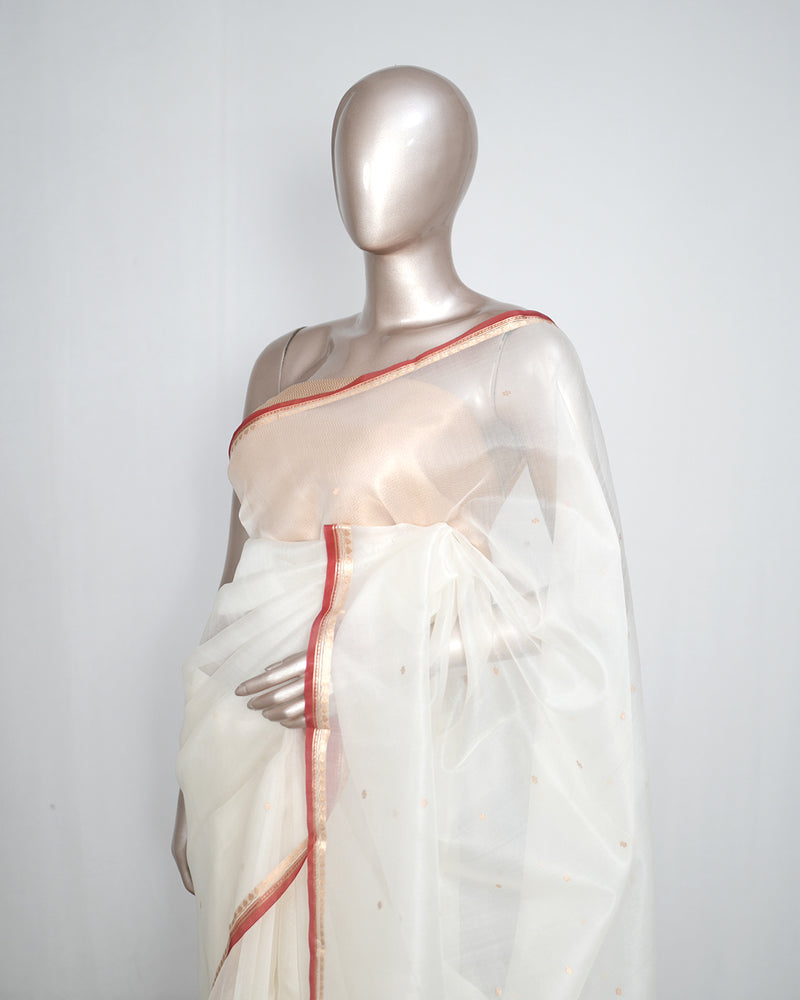 Pure Kora Organza Saree – Ivory Gold Elegance  SAN4729