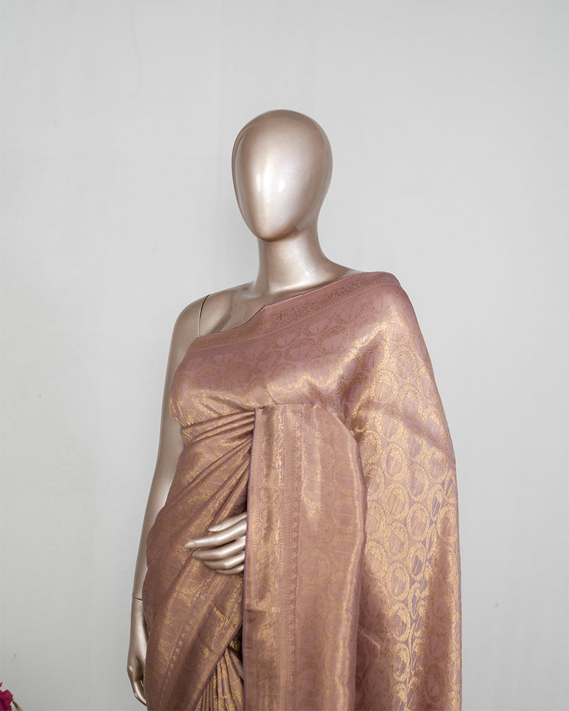 Tissue Brocade Banarasi Saree SAN4002