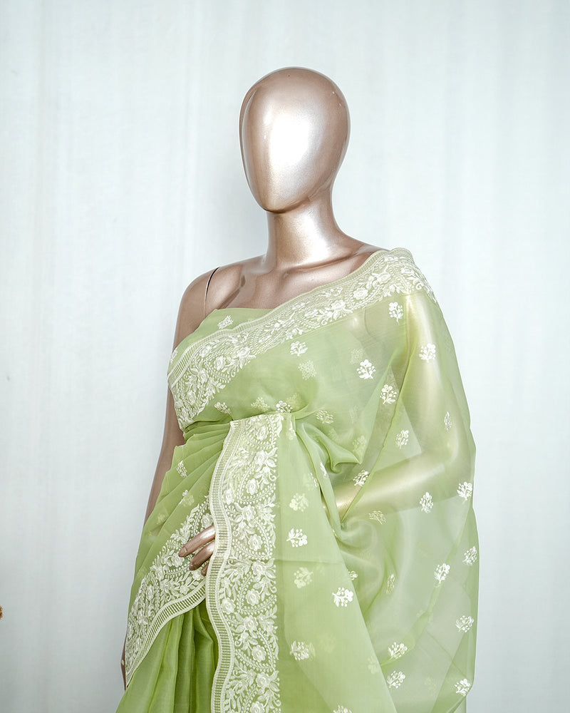 Pastel green Organza Saree L SAN5312