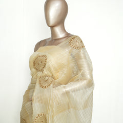 Ivory Organza Saree with Appliqué Embroidery SAN4949