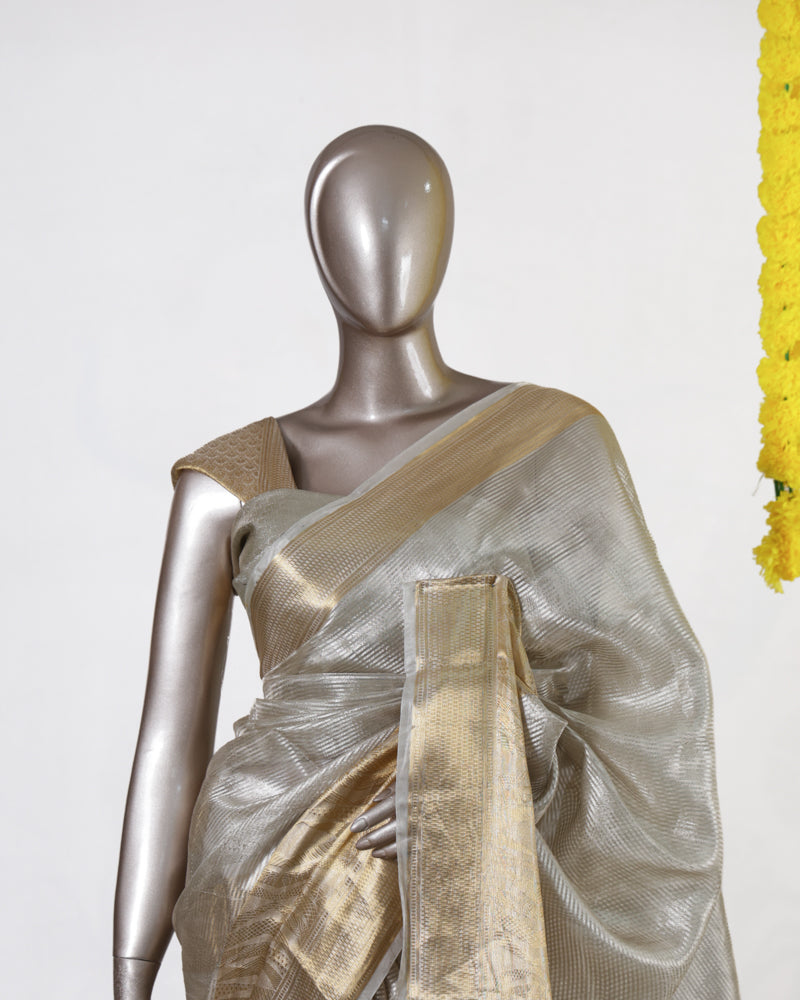 Golden Horizon Tissue Saree
