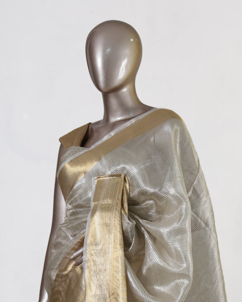Golden Horizon Tissue Saree
