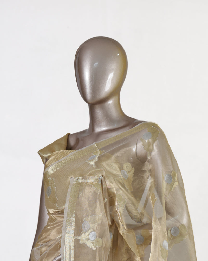 Golden Meadow Organza Saree