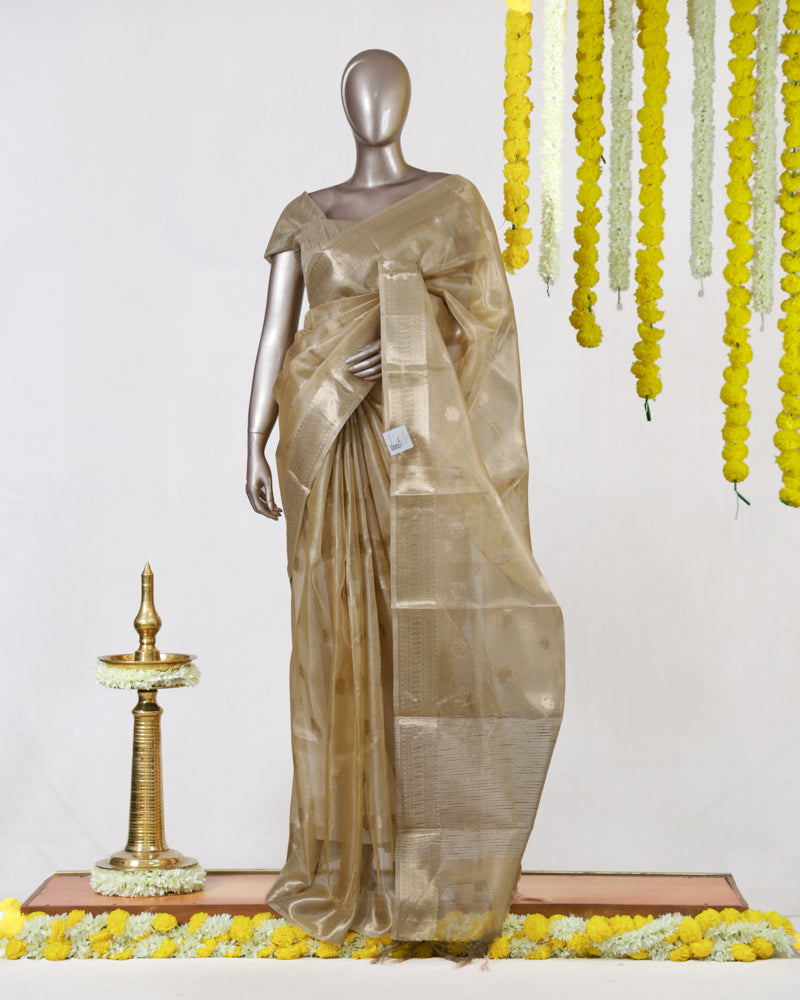 Golden Glow Tissue Saree