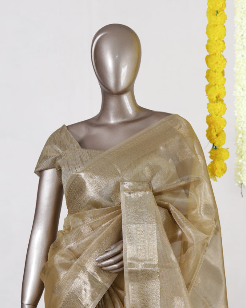 Golden Glow Tissue Saree