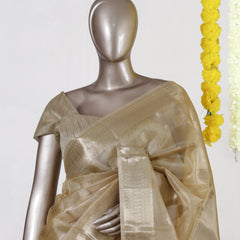 Golden Glow Tissue Saree