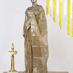 Golden Glow Tissue Saree