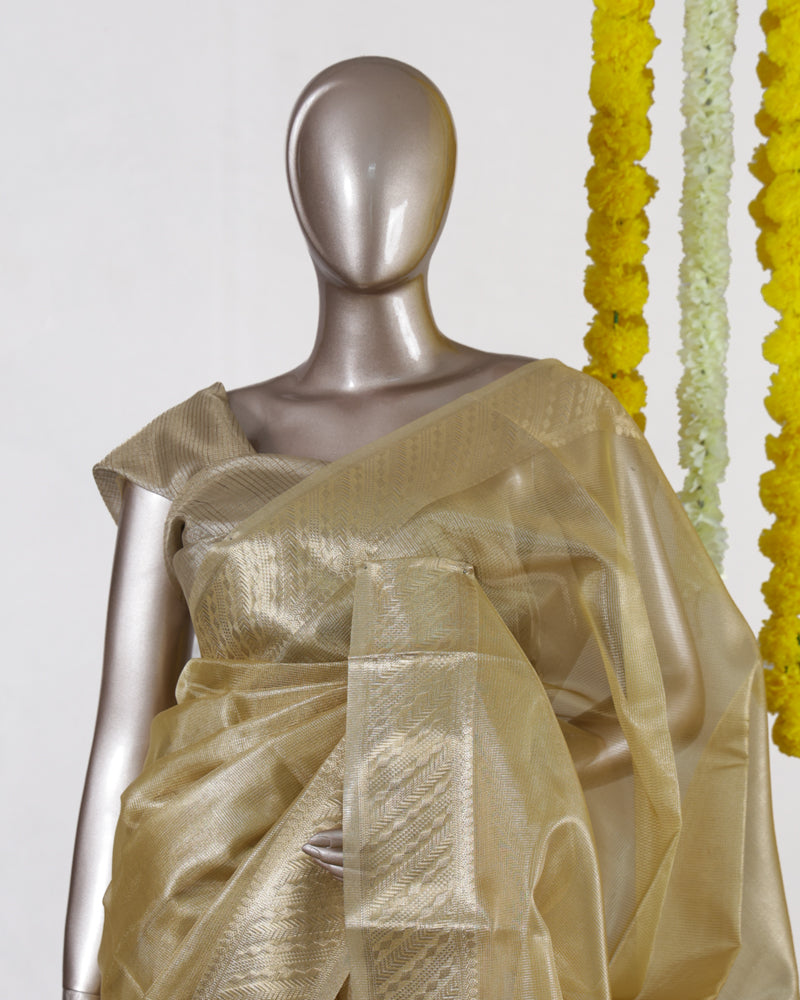 Royal Gold Tissue Saree