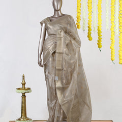 Champagne Glow Tissue Saree