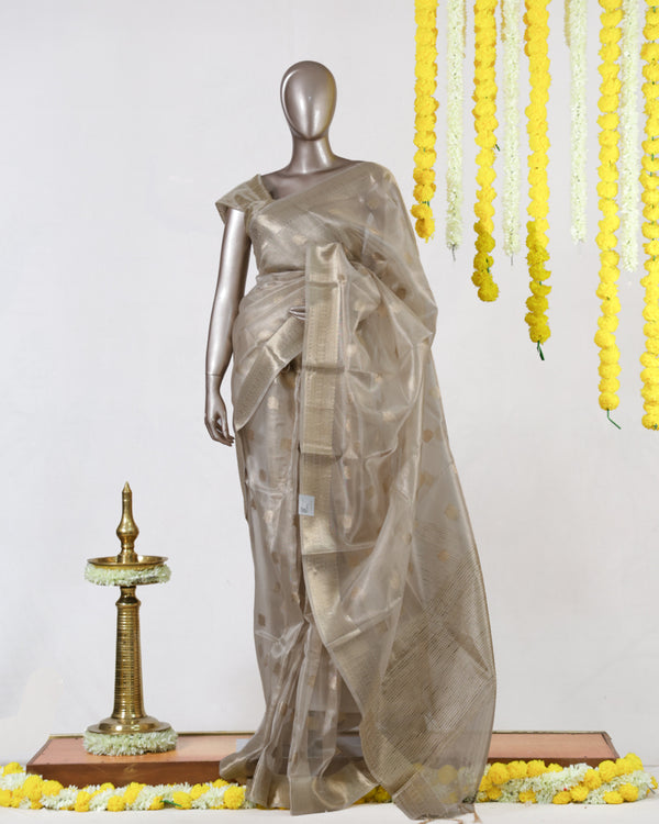 Champagne Glow Tissue Saree