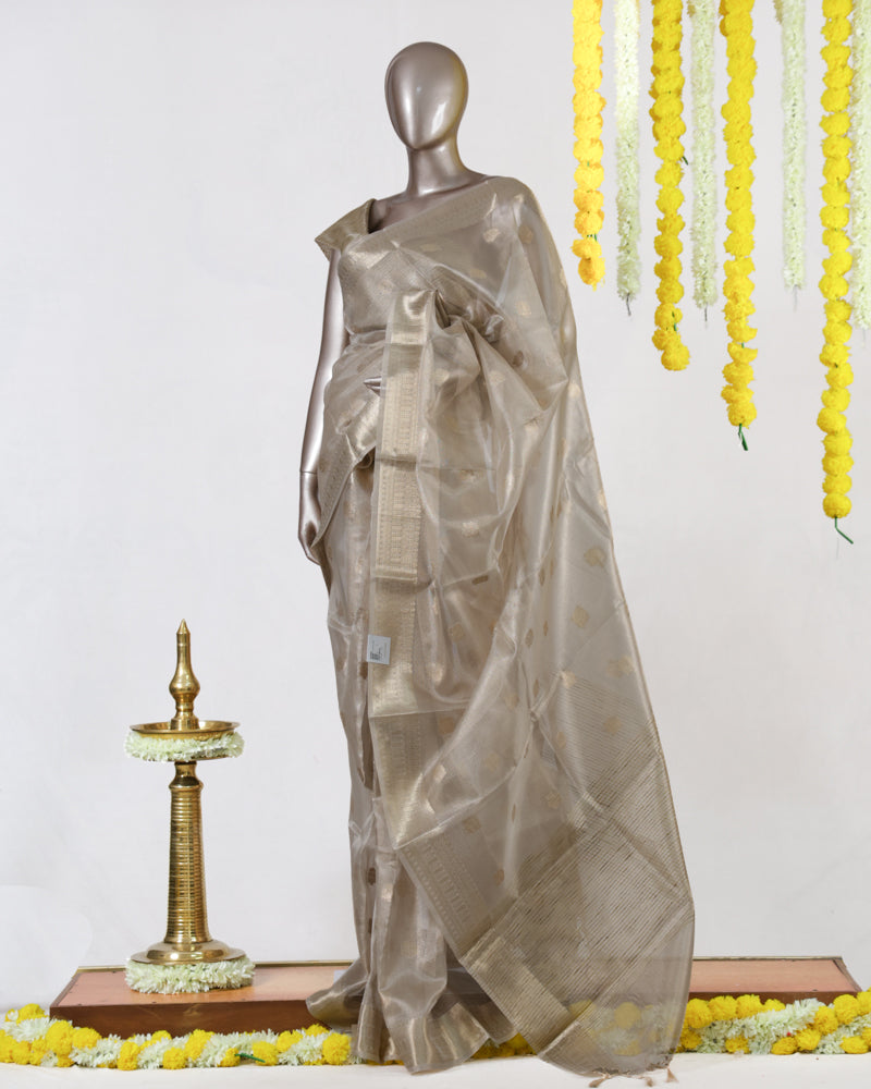 Champagne Glow Tissue Saree