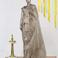Champagne Glow Tissue Saree