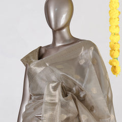 Champagne Glow Tissue Saree
