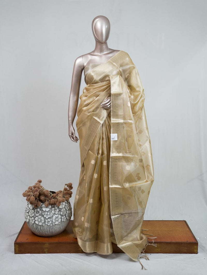 Tissue Saree B 2 SAN5399