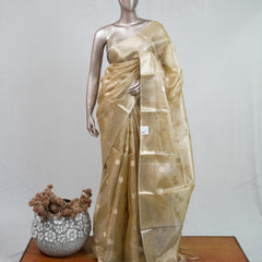 Tissue Saree B 2 SAN5399