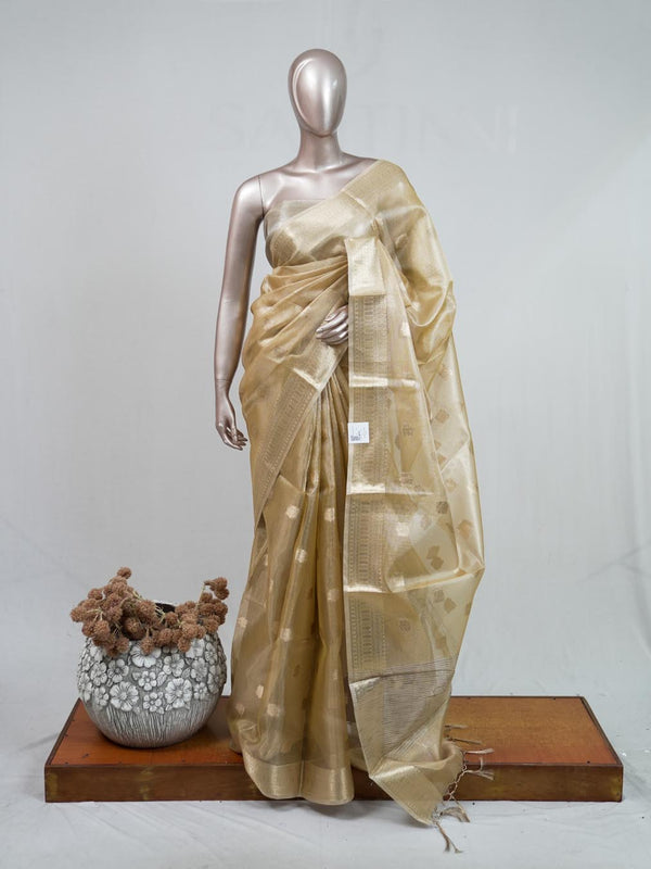 Tissue Saree B 2 SAN5399