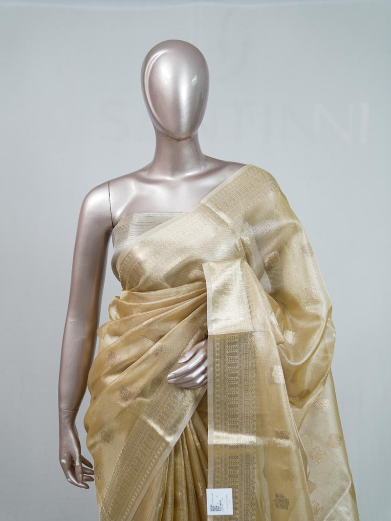 Tissue Saree B 2 SAN5399