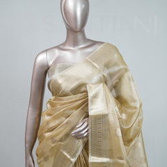 Tissue Saree B 2 SAN5399