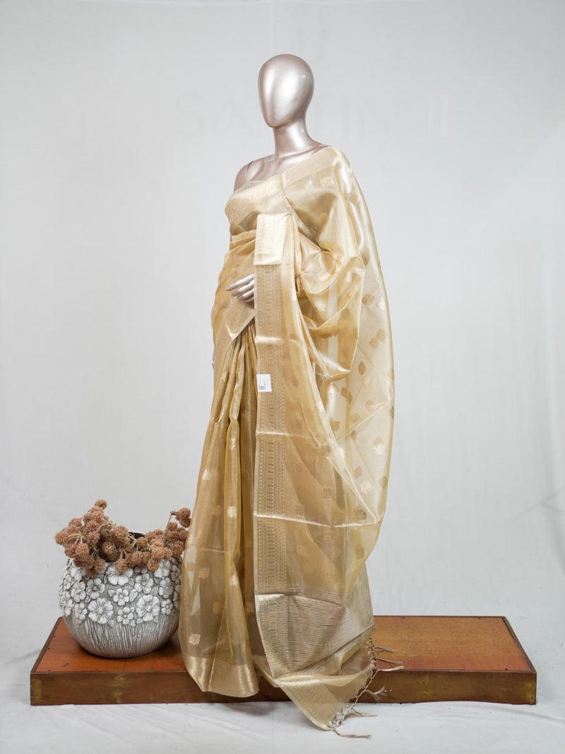 Tissue Saree B 2 SAN5399