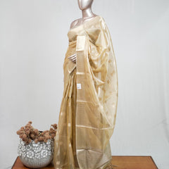 Tissue Saree B 2 SAN5399