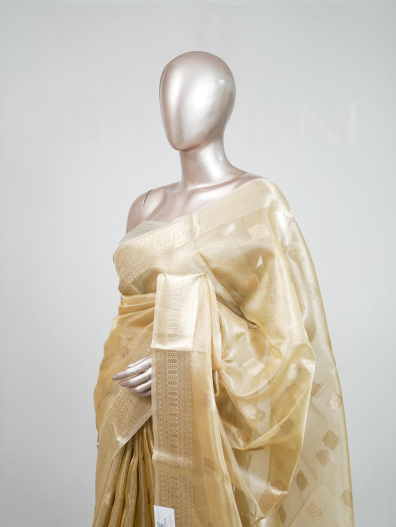 Tissue Saree B 2 SAN5399