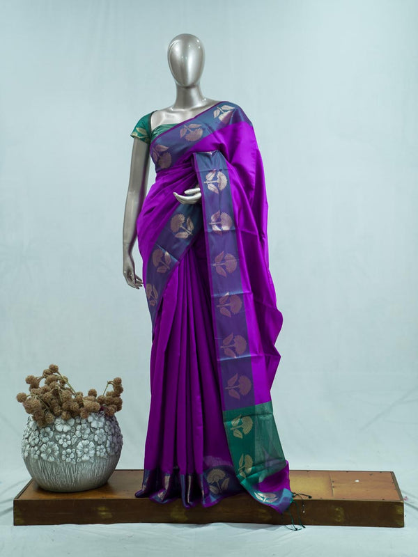 Silk Saree B  SAN5231
