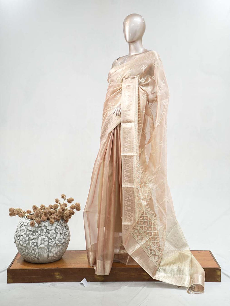 Tissue Saree SAN5212