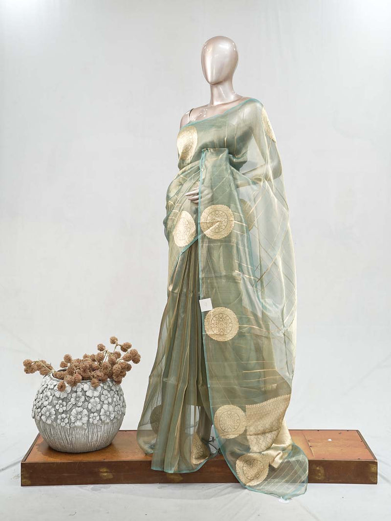Organza Tissue Saree SAN4735