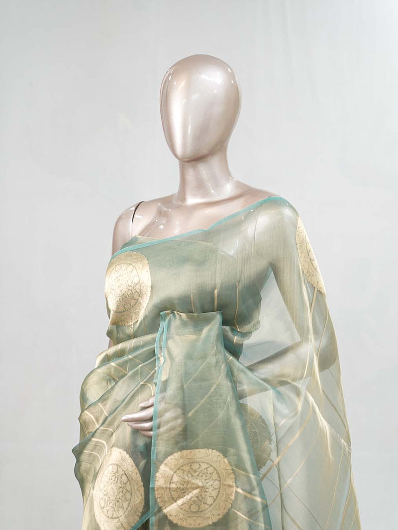 Organza Tissue Saree SAN4735