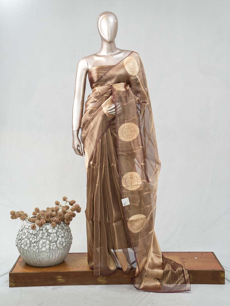 Tissue Organza saree SAN4739