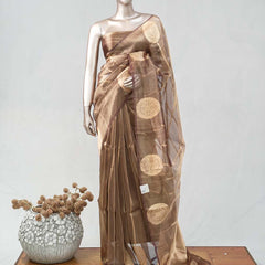 Tissue Organza saree SAN4739