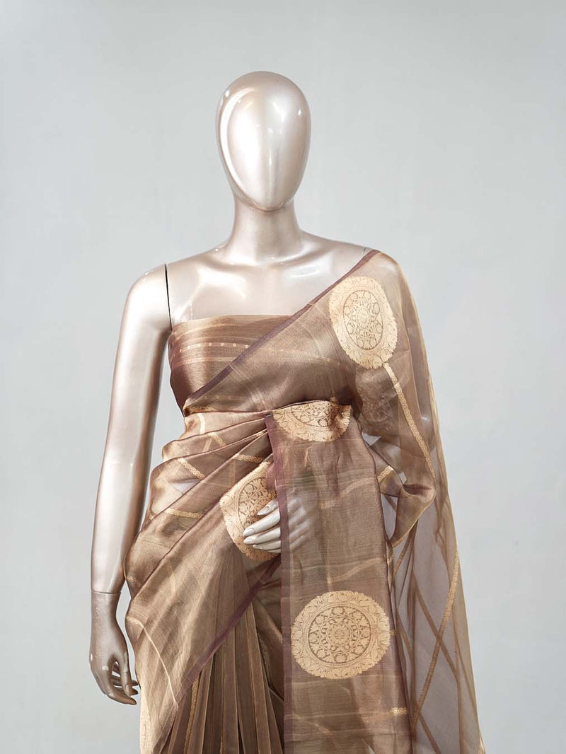 Tissue Organza saree SAN4739