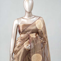 Tissue Organza saree SAN4739
