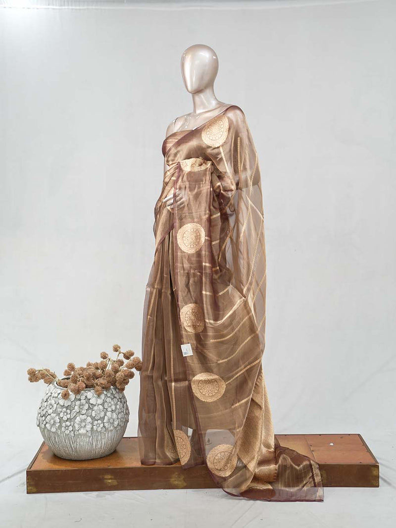 Tissue Organza saree SAN4739