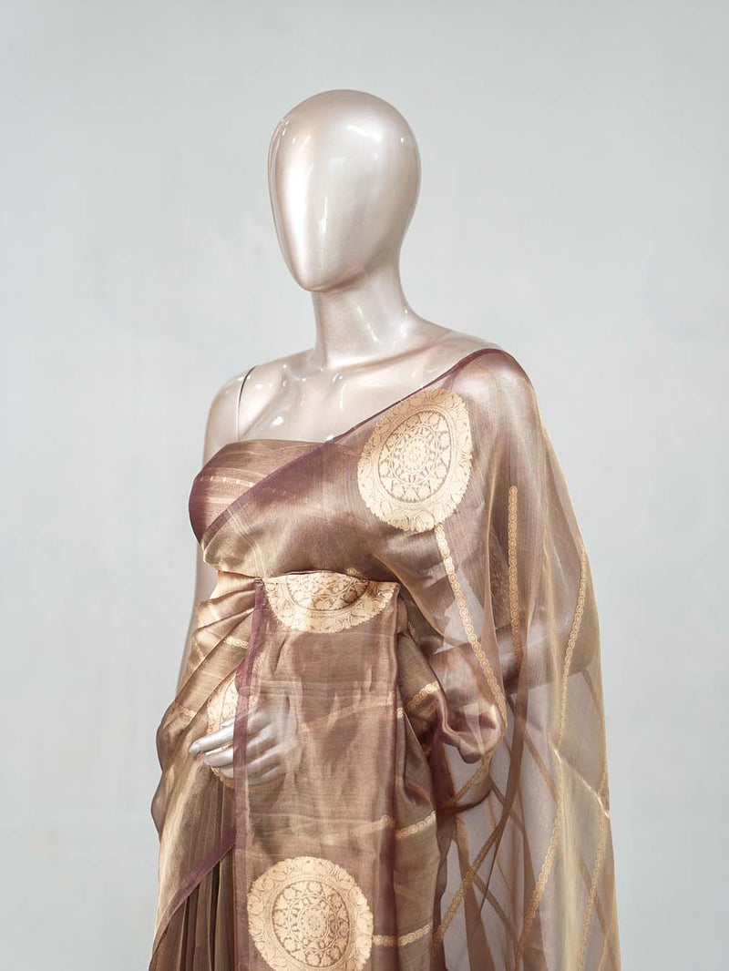 Tissue Organza saree SAN4739