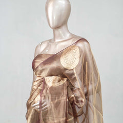 Tissue Organza saree SAN4739